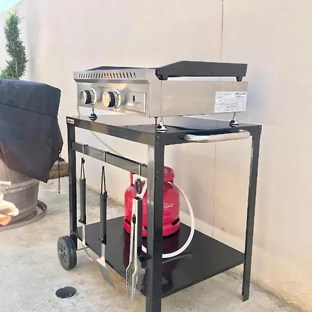 Exceptionnelle Piscine Et Jardin Prive Sejour De Gamme Proche La Rochelle Sainte-Soulle