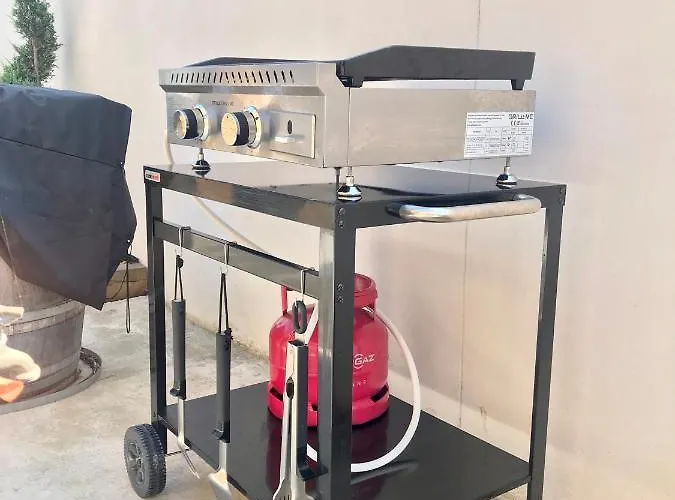 Exceptionnelle Piscine Et Jardin Prive Sejour De Gamme Proche La Rochelle Sainte-Soulle